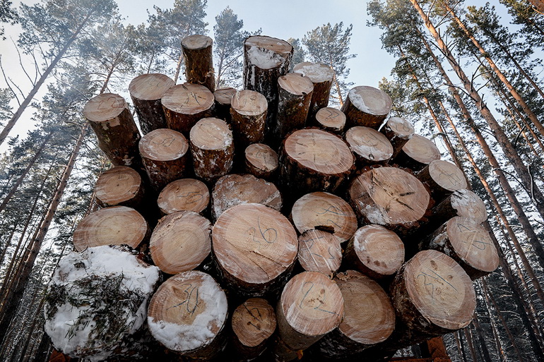 Арбітражний суд визнав право України на обмеження експорту лісу
